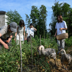 Sin hombres, ni estrés: florecen comunidades 100% femeninas en China