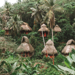 Casas suspendidas: la atracción ecológica que está causando sensación entre turistas