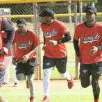 Leones del Escogido comenzarán entrenamientos el 25 de septiembre