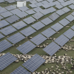 China apresura construcción del mayor parque solar del mundo