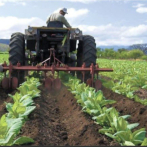 Líderes del sector agropecuario se reunirán para trazar estrategias de exportación