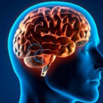 Estimulación cognitiva: ¿Qué está pasando hoy día con la memoria?