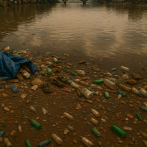 Estudio realizado por el IIBI alerta sobre bacterias resistentes en ríos dominicanos