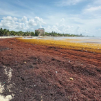 Sargazo invade playas de Juan Dolio y golpea al turismo local