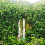 Aportes del capital natural al PIB nacional