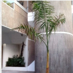 Apuntes sobre el arte conceptual: Lo que se saca de raíz vuelve a crecer