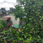 Reportan daños en diferentes localidades del Cibao por ventarrón