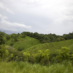 Más guardaparques y tecnología, los planes de Centroamérica para frenar la deforestación