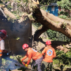 22 viviendas fueron afectadas por ventarrón y lluvias en Puerto Plata