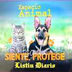 Animal Fest RD inicia este viernes con una innovadora agenda