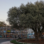 Israel y Hamás negocian en Egipto el fin de la guerra en Gaza bajo el plan de Trump