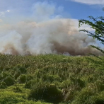 Incendio forestal afecta Laguna de Cabral