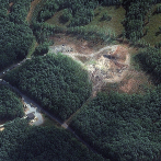 No hay sobrevivientes tras explosión en una fábrica de explosivos en Tennessee, EEUU