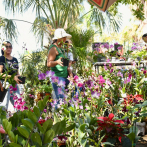 Orquídeas: las más vendidas en el Festival Nacional de Plantas y Flores