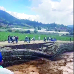 El río Tireo necesita intervención luego que desbordara su cauce