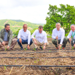 El Intabaco proyecta sembrar 160 mil tareas de tabaco