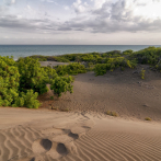 ‘Es el momento de hacer un pacto ambiental que involucre el compromiso de todos los actores sociales’