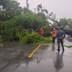 Lluvias de Melissa en Baní provocan caídas de árboles y aumento del oleaje en playas