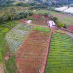 Tormenta Melissa deja beneficios en el Cibao