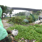 Tormenta tropical Melissa: Basura y lilas se acumulan en el Puente Flotante