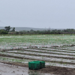 Lluvias incomunican zonas agrícolas, pero en otras han sido beneficiosas
