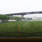 Tormenta tropical Melissa: Basura y lilas se acumulan en el Puente Flotante