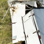 Escapa un mono de laboratorio tras accidente de camión en Misisipi, EEUU