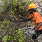 Aumentan a 25 los muertos en Haití por el huracán Melissa; causa daños en Jamaica y Cuba