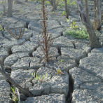 Las nuevas promesas climáticas solo reducen ligeramente las peligrosas proyecciones de calentamiento global