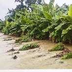 Reclaman plan de emergencia para recuperar plantaciones agrícolas devastadas por Melissa en el Sur
