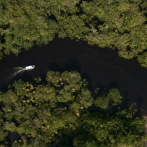 Brasil promoverá ambicioso fondo de inversión que permitirá pagar a países por preservar bosques