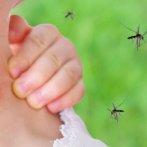 Tres provincias registran el 95% casos de malaria