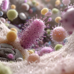 Infectología vigila casos de bacterias resistentes a múltiples fármacos en RD