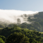 Gobernanza en Madre de las Aguas: el reto de gestionar una gran reserva de biosfera
