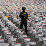 La DNCD ha incautado más de 31 toneladas de drogas en lo que va de 2025