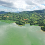 Medio Ambiente: coloración verde del agua en la presa de Hatillo se debe a floración de algas