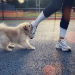 La constante memoria de la herida