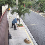 A la justicia acusado de envenenar perros