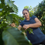Biodiversidad en Paisajes Productivos: el proyecto local que muestra que producir, conservar y prosperar es posible
