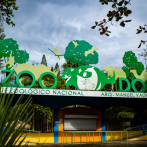 Medio Ambiente autoriza introducción de dos especies exóticas al Zoológico Nacional
