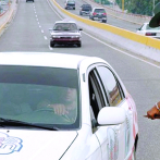 ¿Qué pasa con los vehículos de los que no renovaron el marbete a tiempo?