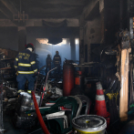 Bomberos han rescatado a 161 animales en situación de riesgo