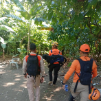 5 días sin la niña Brianna Genao: Usan cuatro perros en búsqueda