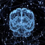 Implante inalámbrico trata enfermedad inflamatoria intestinal usando red neuronal del cuerpo