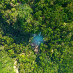 Áreas protegidas: el valor de las zonas de amortiguamiento