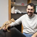 Un estudio revela cómo corrían los dinosaurios tras analizar sus huellas