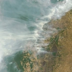 El humo de los incendios aporta fósforo que fertiliza los bosques del Amazonas, según un estudio