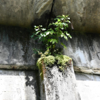 Obras Públicas abre licitación para evaluar situación de cuatro puentes