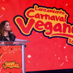 Carnaval vegano 2026 tendrá la música de Toño, Raulín, Shadow Blow, Yiyo Sarante y otros artistas