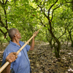 Biodiversidad en Paisajes Productivos: capital natural y cambio climático